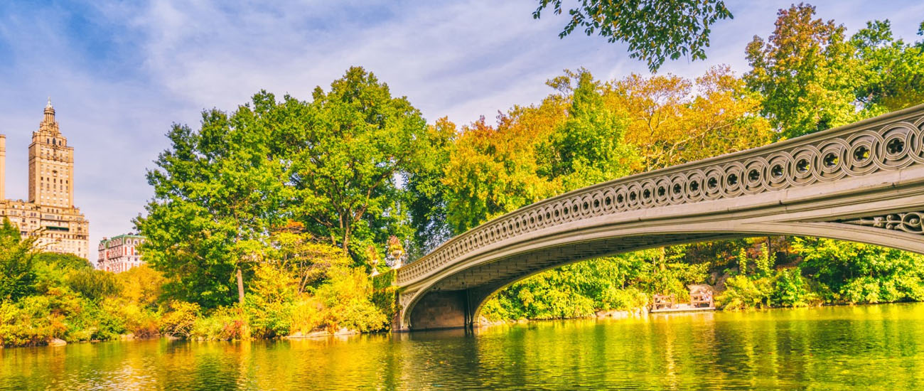 Central Park in New York