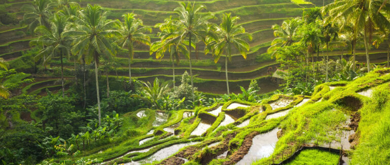 Bali is a stunning tropical paradise: Top 6 places to visit