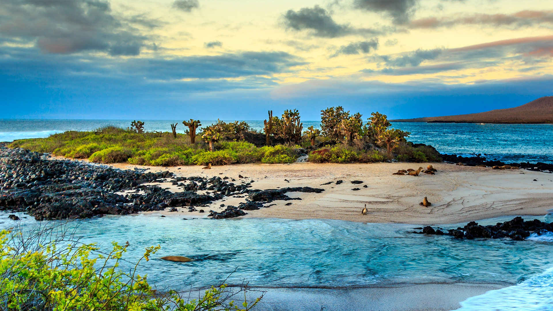 Galápagos islands in Ecuador