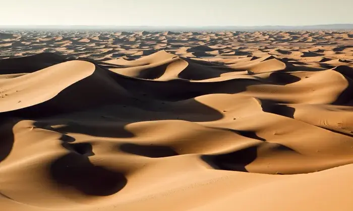 Sahara Desert